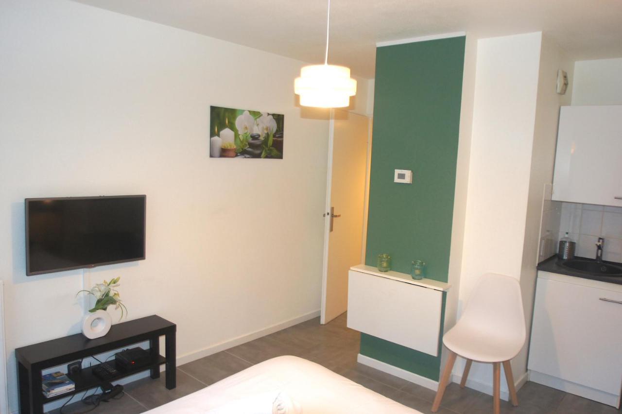 Le Saint Eloi - Studio Avec Parking Toulouse Centre Διαμέρισμα Εξωτερικό φωτογραφία